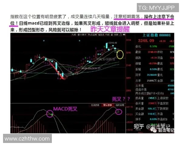 杭州篮球队与北京篮球队赛后复盘分析比赛节奏与战术执行的关键因素